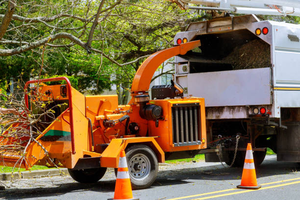 Best Arborist Consultation Services  in Blossom, TX